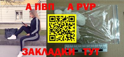 стаф Кунгур